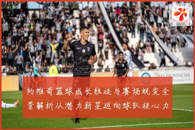 约维奇篮球成长轨迹与赛场蜕变全景解析从潜力新星迈向球队核心力量之路