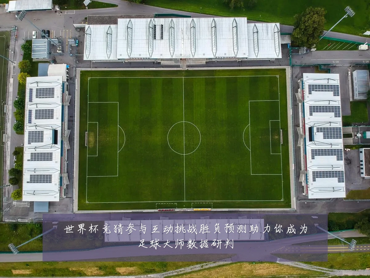 世界杯竞猜参与互动挑战胜负预测助力你成为足球大师数据研判