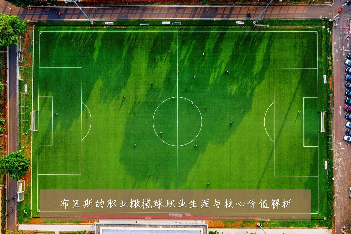 布里斯的职业橄榄球职业生涯与核心价值解析